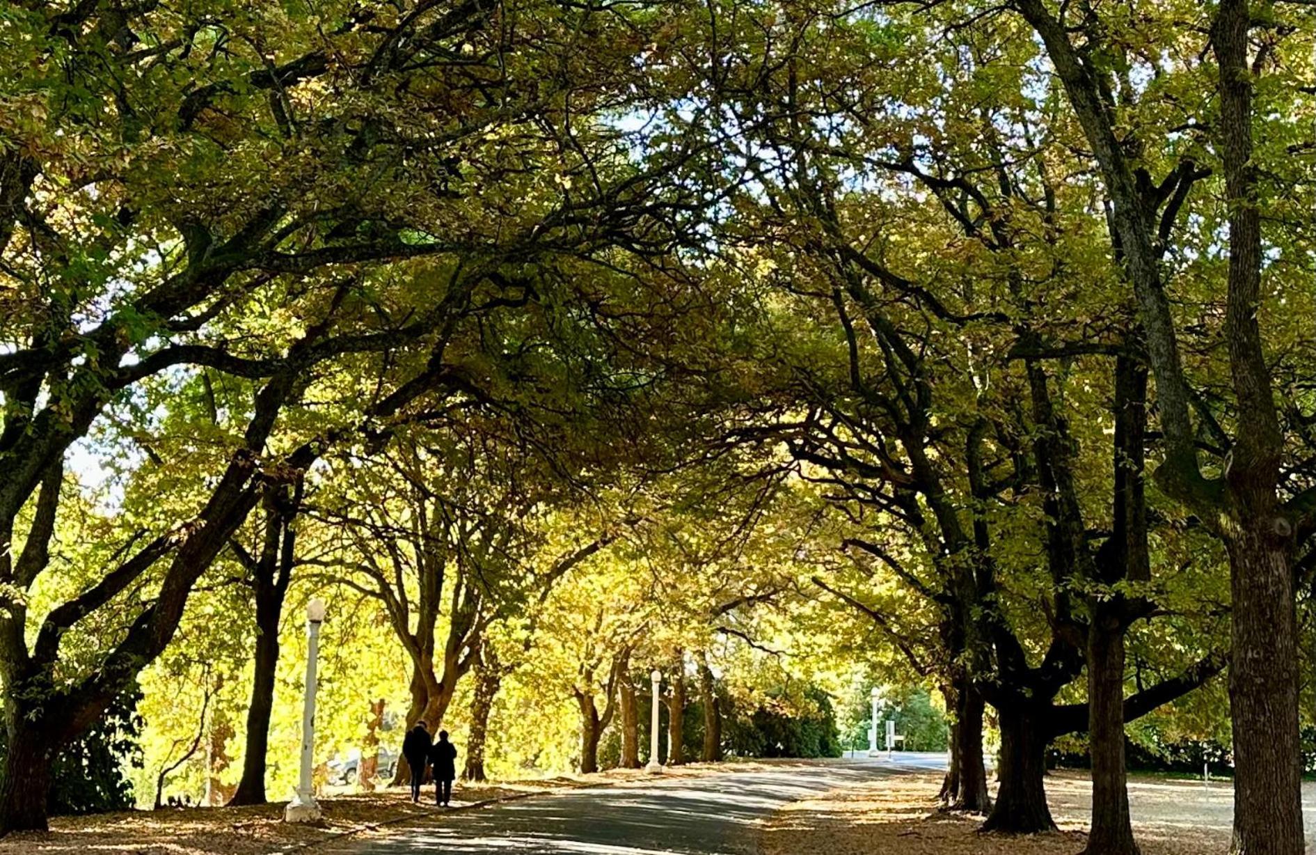The Grand Oaks Resort Beechworth Exterior photo